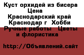 Куст орхидей из бисера. › Цена ­ 900 - Краснодарский край, Краснодар г. Хобби. Ручные работы » Цветы и флористика   